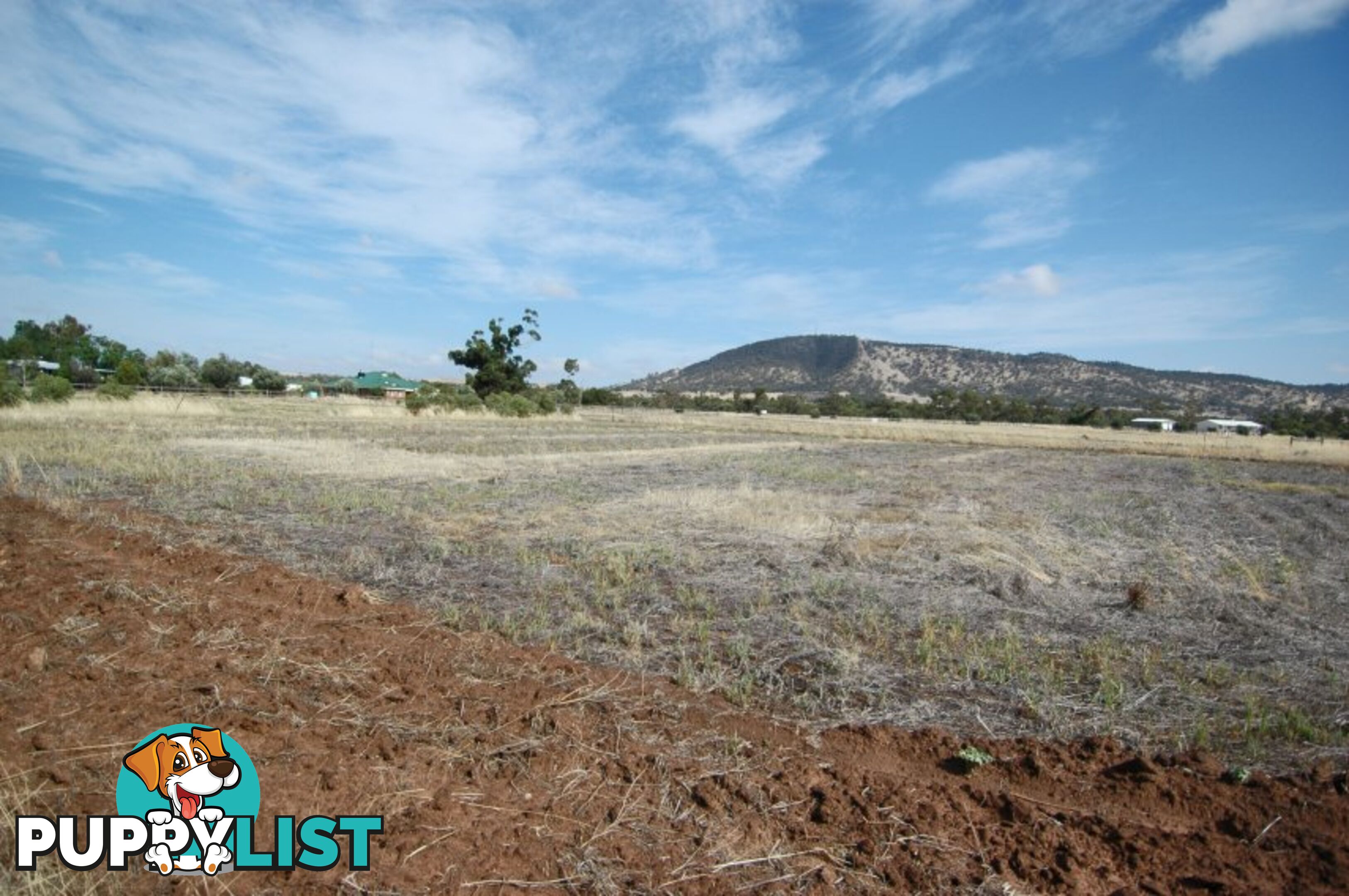 9 Newcastle Street YORK WA 6302