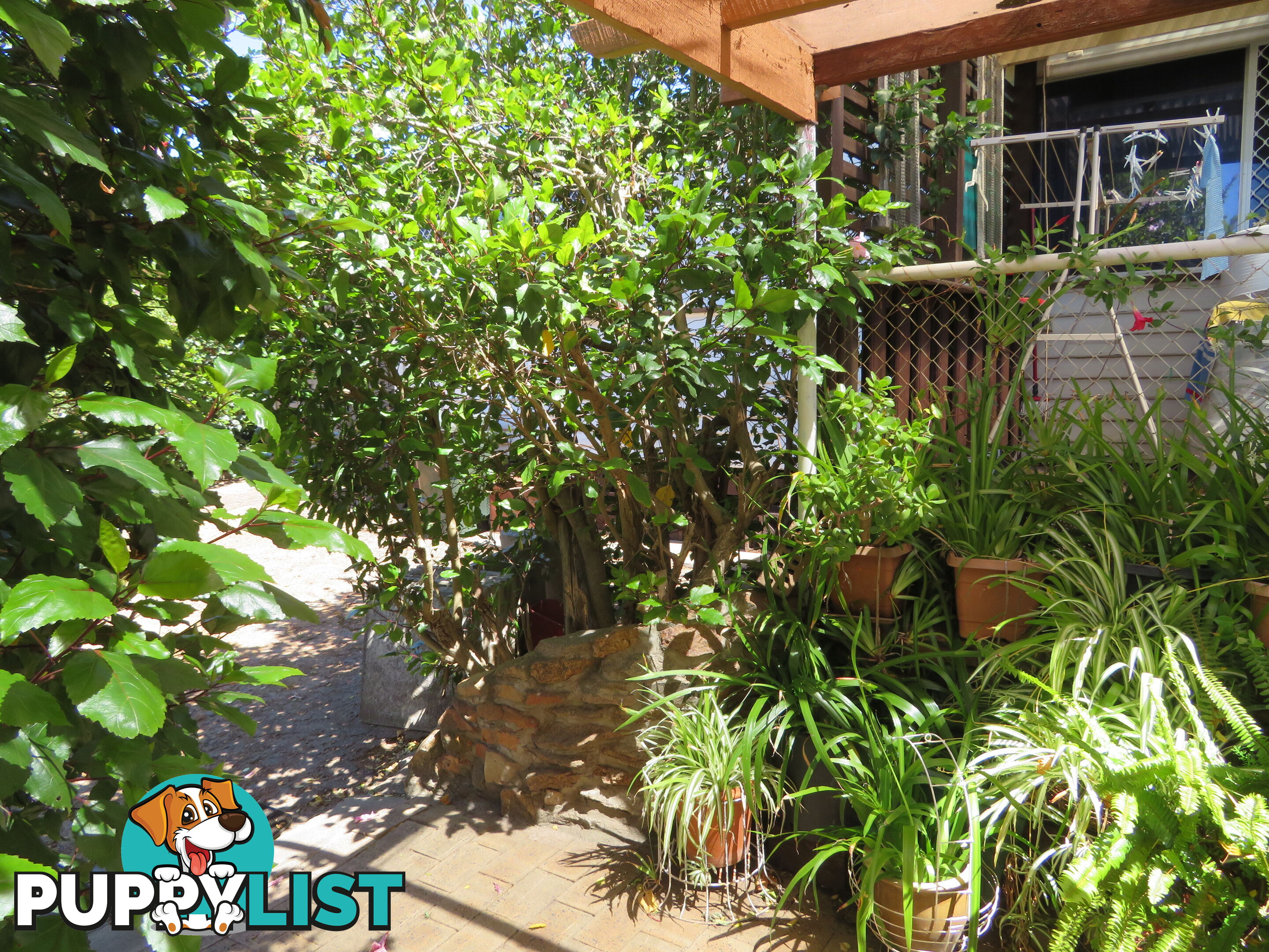 10 79 Kennedy Street NORTHAM WA 6401