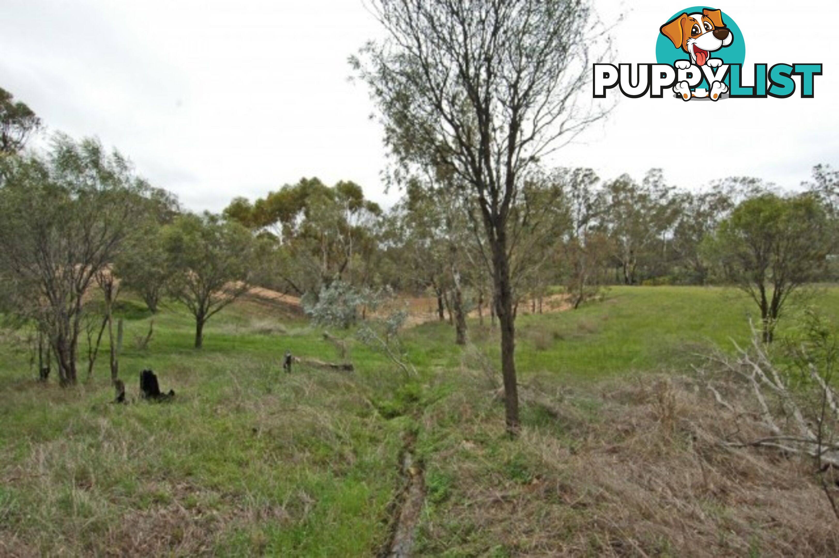 101 101 GREAT SOUTHERN HWY YORK WA 6302