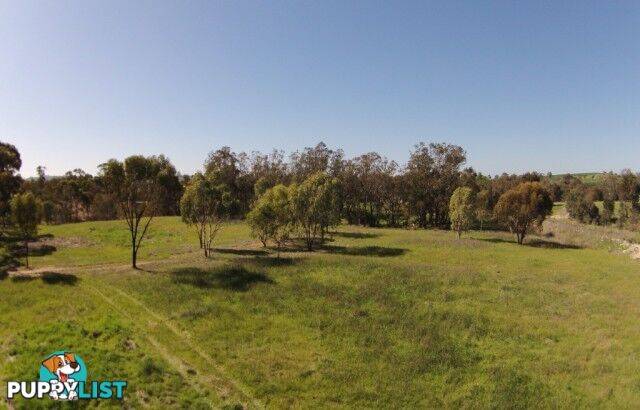 101 101 GREAT SOUTHERN HWY YORK WA 6302
