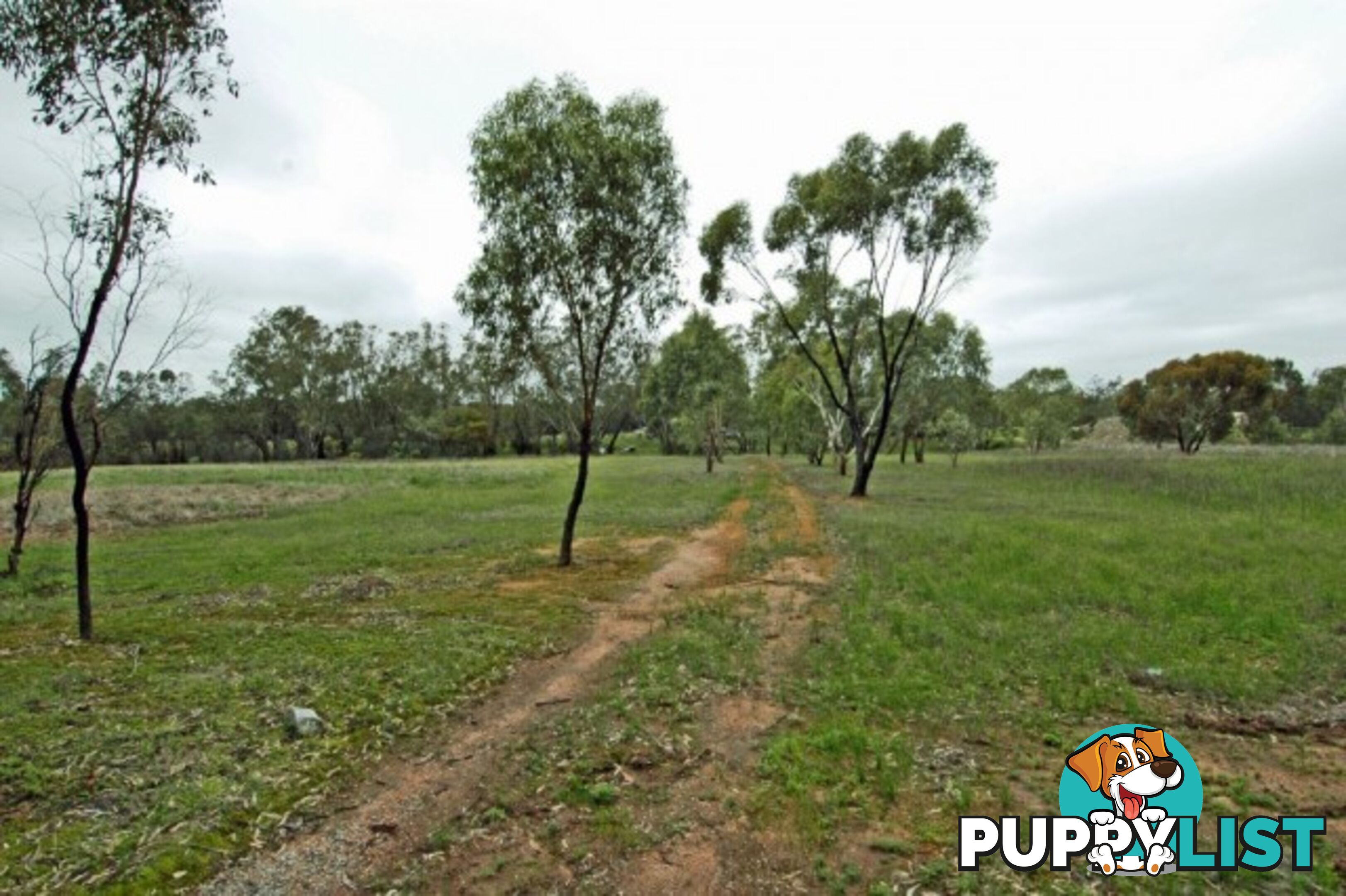 101 101 GREAT SOUTHERN HWY YORK WA 6302