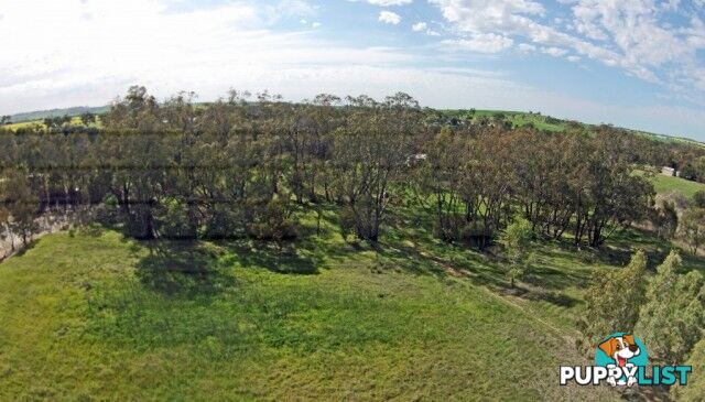 101 101 GREAT SOUTHERN HWY YORK WA 6302