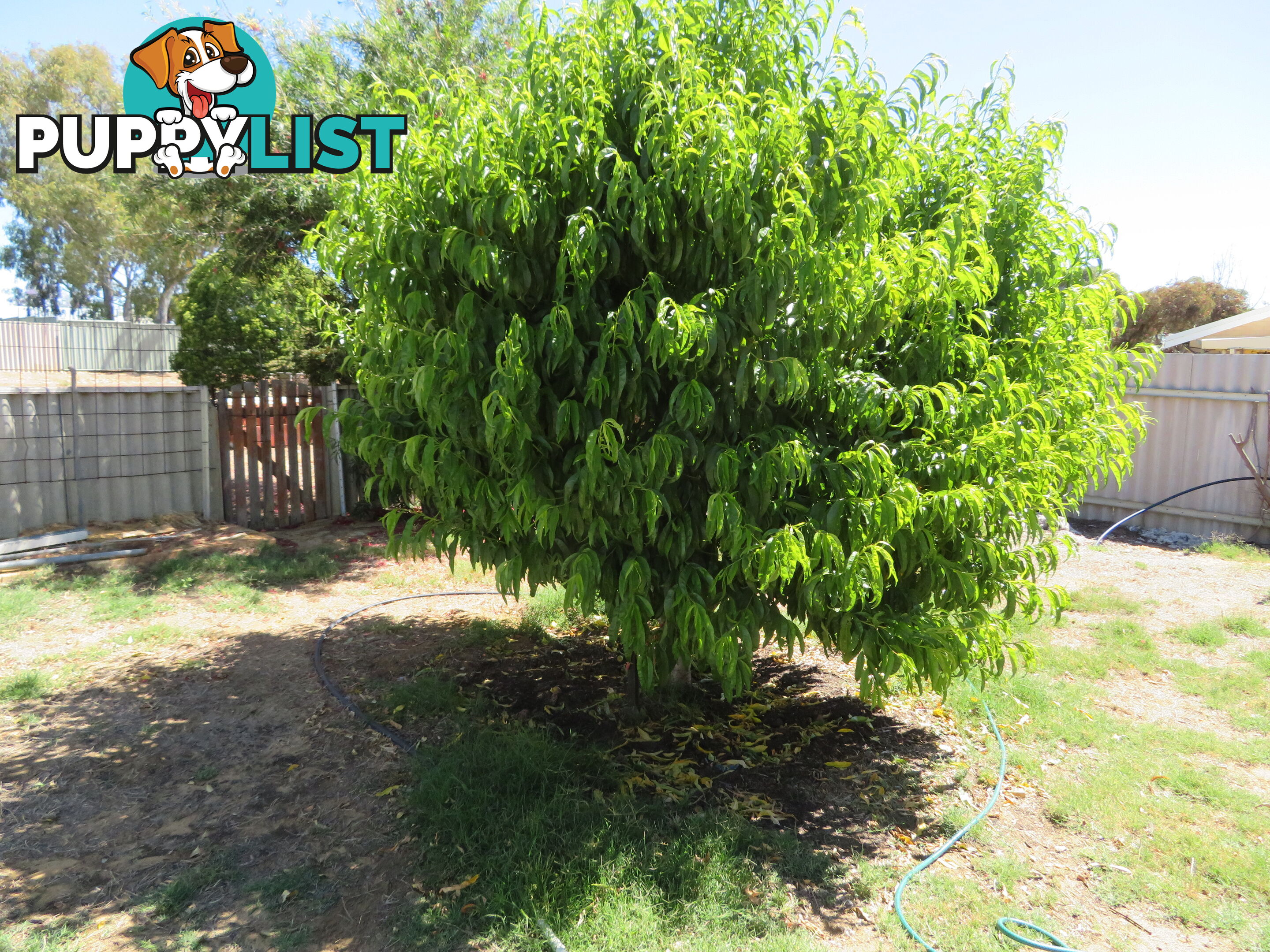 206 33 Goldfields Road DOWERIN WA 6461