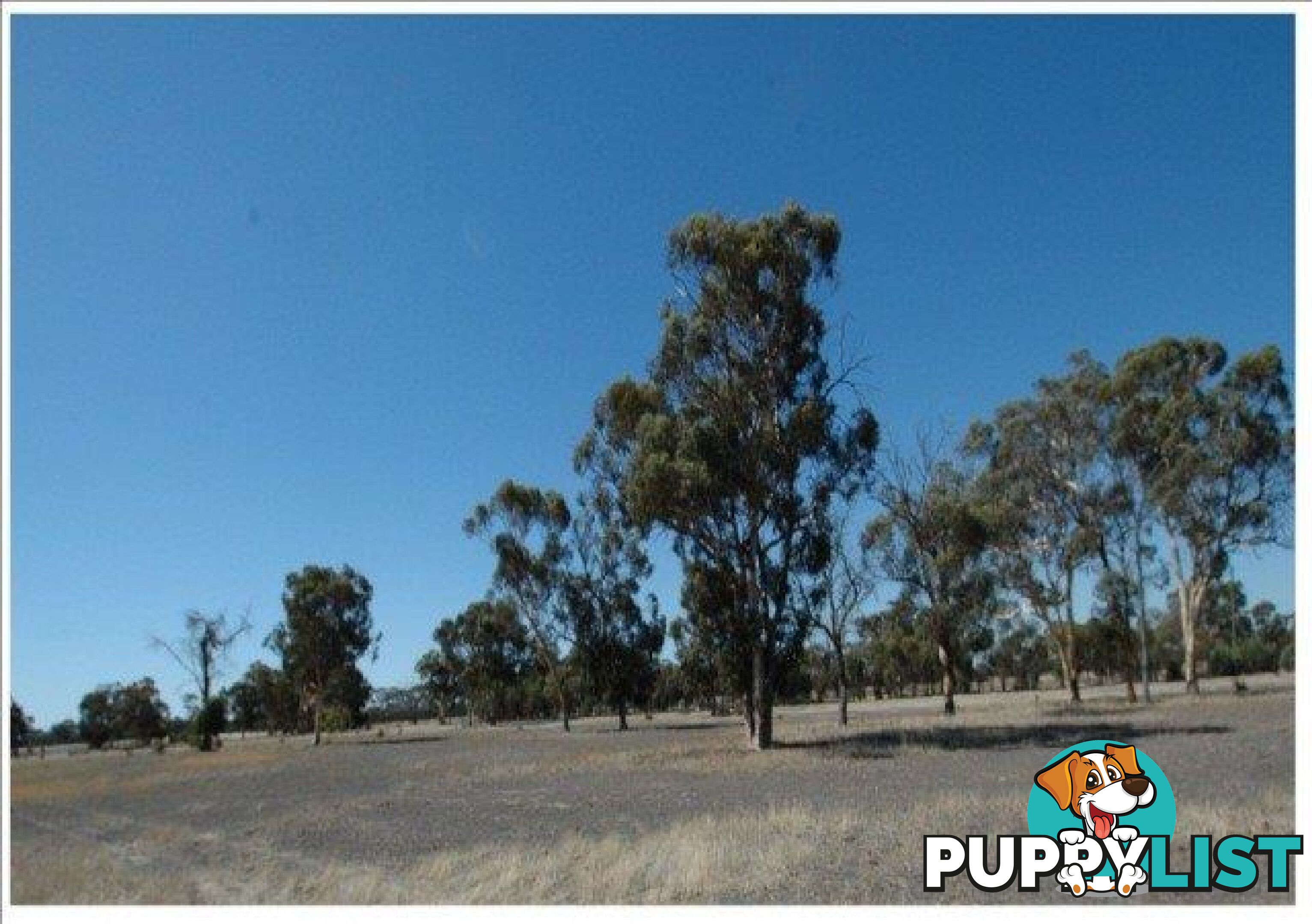 9272 Great Southers High Way KOKEBY WA 6304