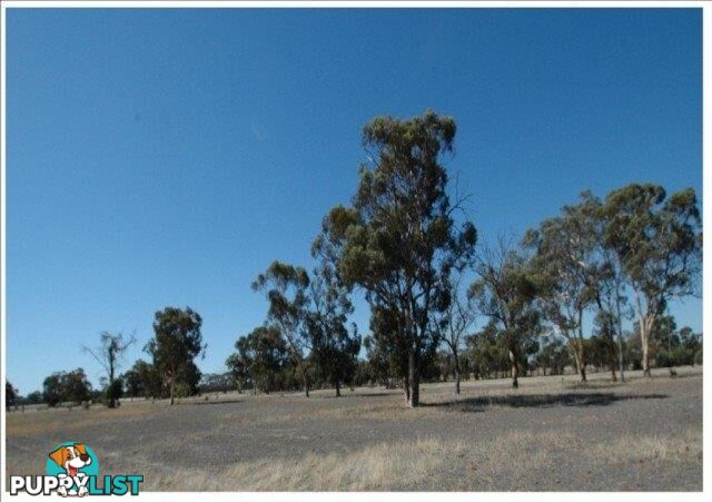 9272 Great Southers High Way KOKEBY WA 6304