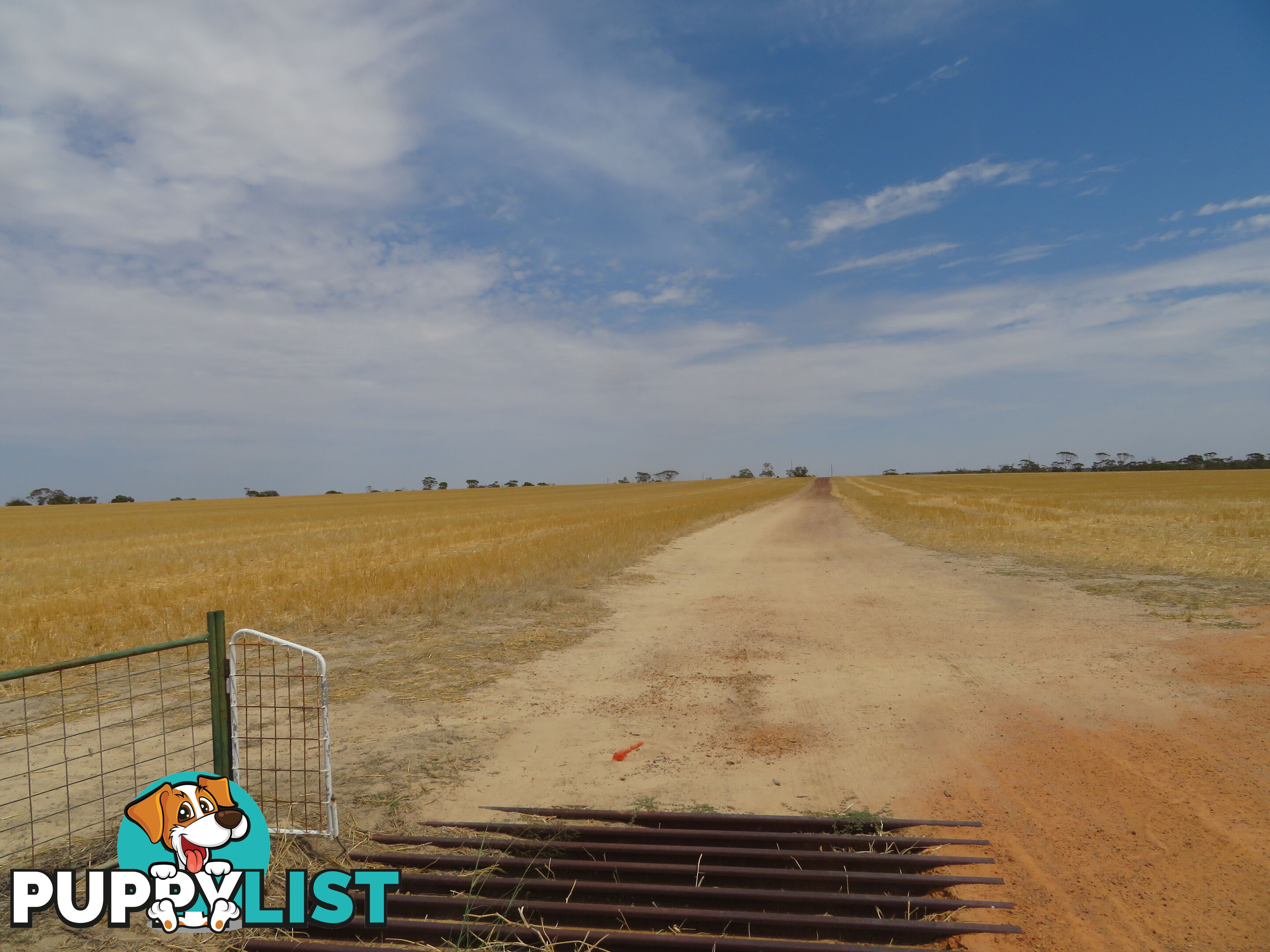 1 3181 Cunderdin-Wyalkatchem Road WYALKATCHEM WA 6485