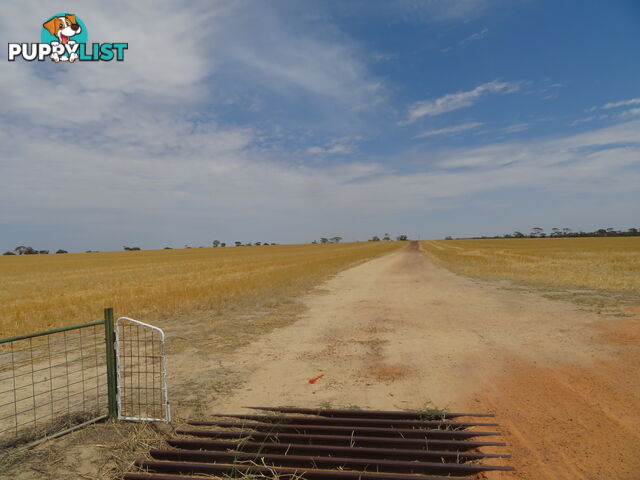 1 3181 Cunderdin-Wyalkatchem Road WYALKATCHEM WA 6485