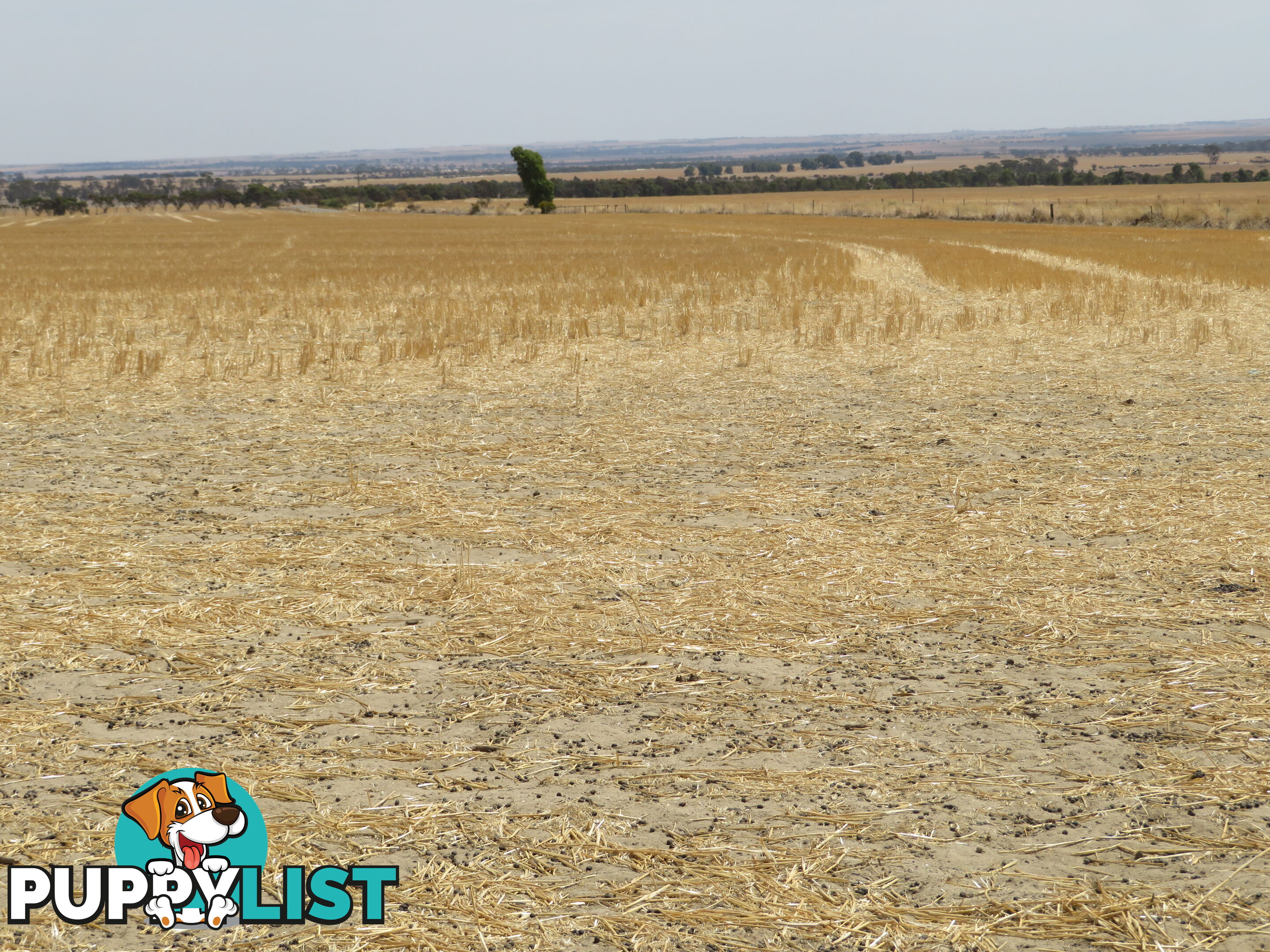 1 3181 Cunderdin-Wyalkatchem Road WYALKATCHEM WA 6485