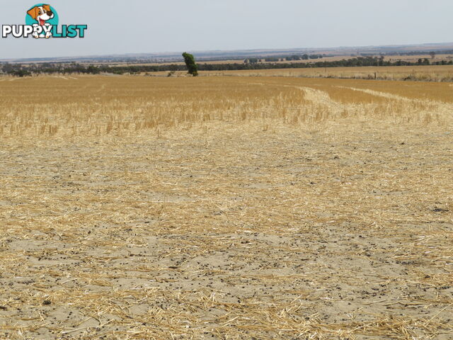 1 3181 Cunderdin-Wyalkatchem Road WYALKATCHEM WA 6485
