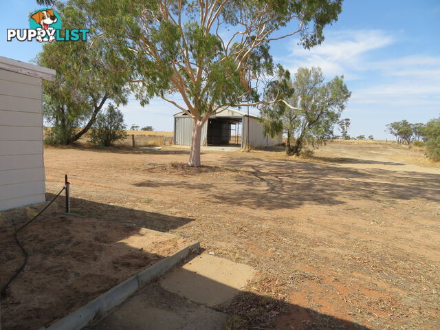 1 3181 Cunderdin-Wyalkatchem Road WYALKATCHEM WA 6485