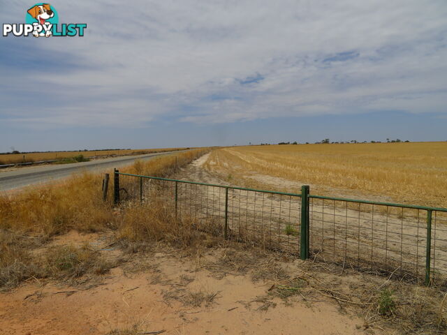 1 3181 Cunderdin-Wyalkatchem Road WYALKATCHEM WA 6485