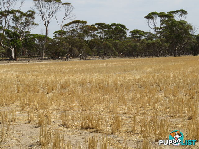 1 3181 Cunderdin-Wyalkatchem Road WYALKATCHEM WA 6485