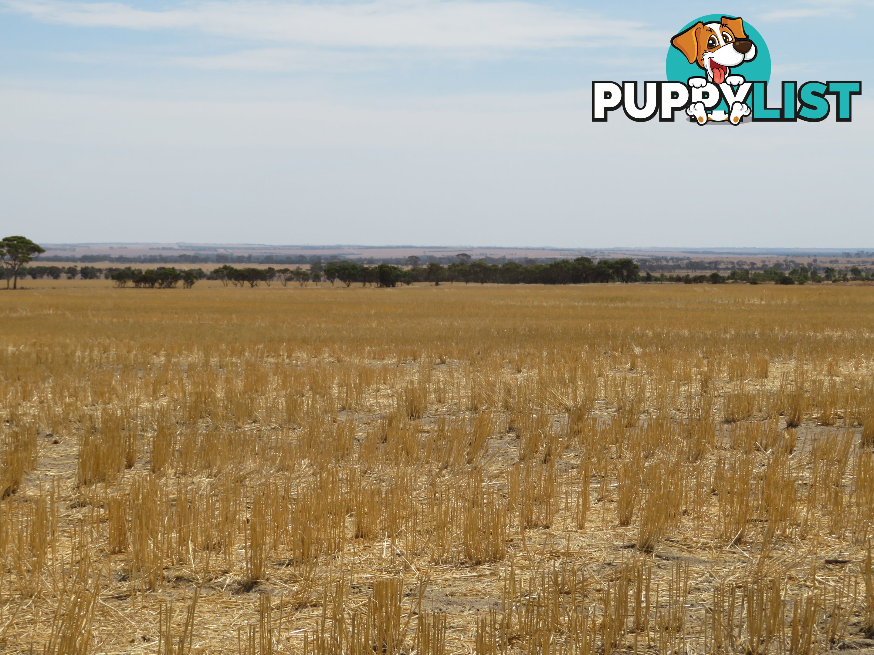 1 3181 Cunderdin-Wyalkatchem Road WYALKATCHEM WA 6485