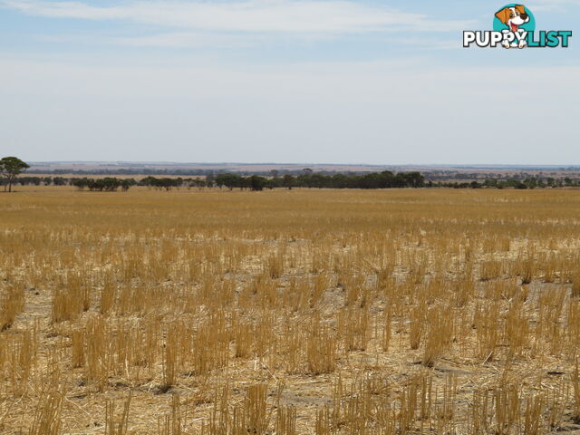 1 3181 Cunderdin-Wyalkatchem Road WYALKATCHEM WA 6485