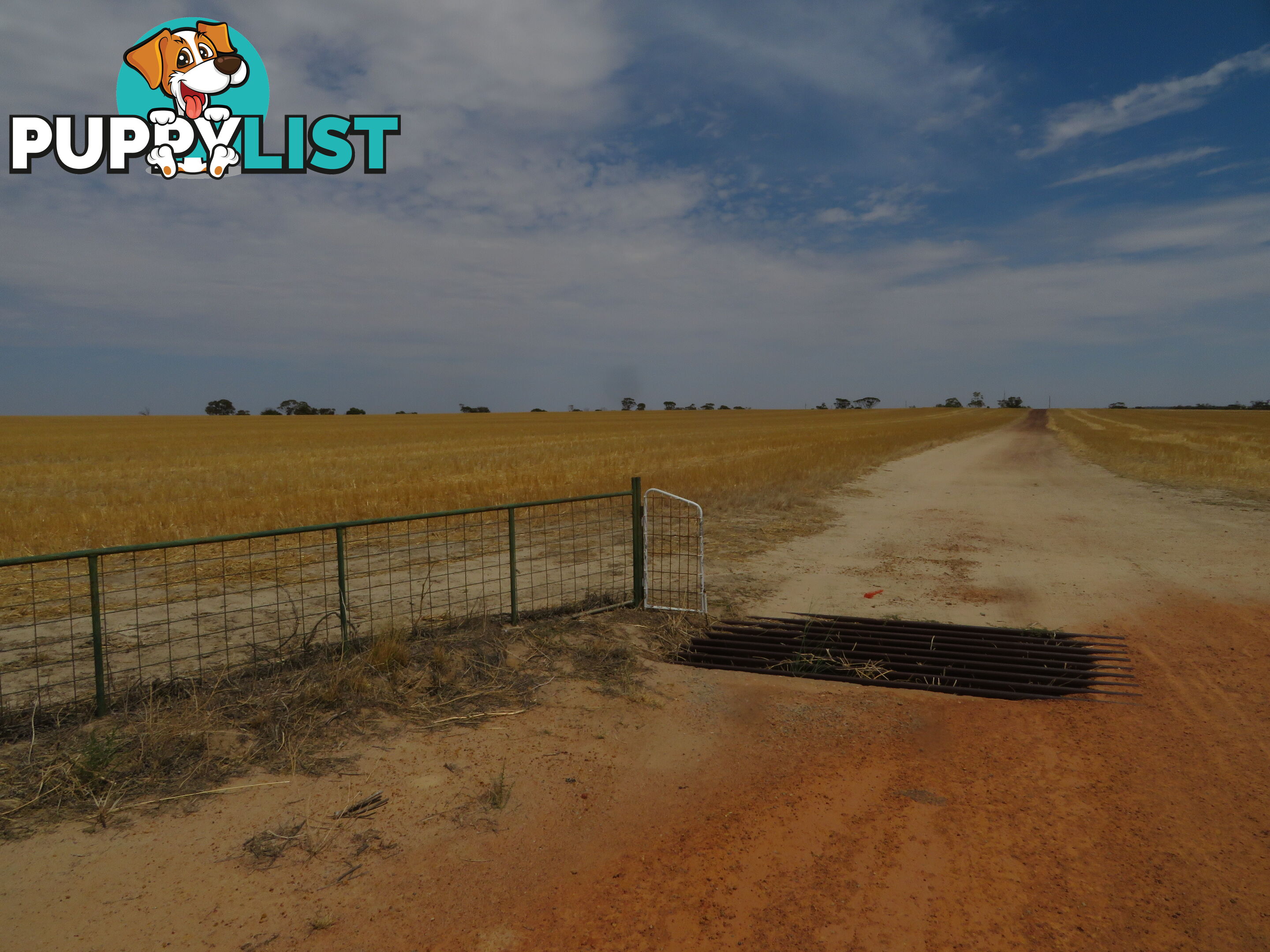 1 3181 Cunderdin-Wyalkatchem Road WYALKATCHEM WA 6485
