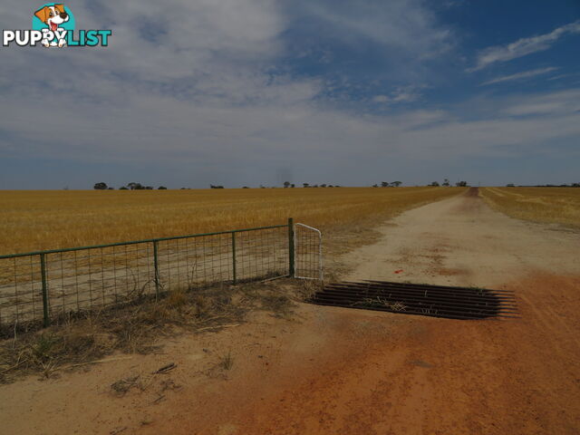1 3181 Cunderdin-Wyalkatchem Road WYALKATCHEM WA 6485