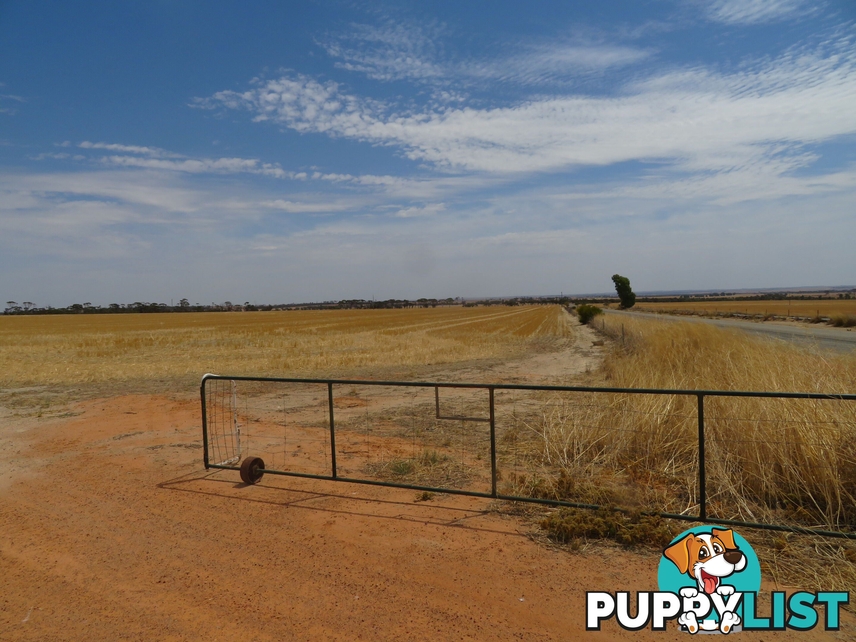 1 3181 Cunderdin-Wyalkatchem Road WYALKATCHEM WA 6485