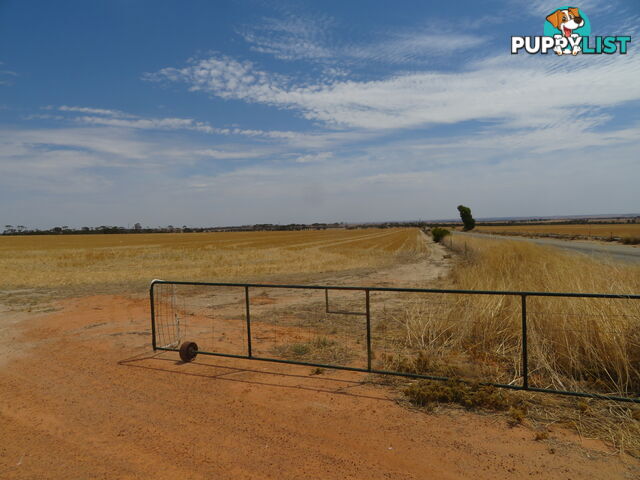 1 3181 Cunderdin-Wyalkatchem Road WYALKATCHEM WA 6485