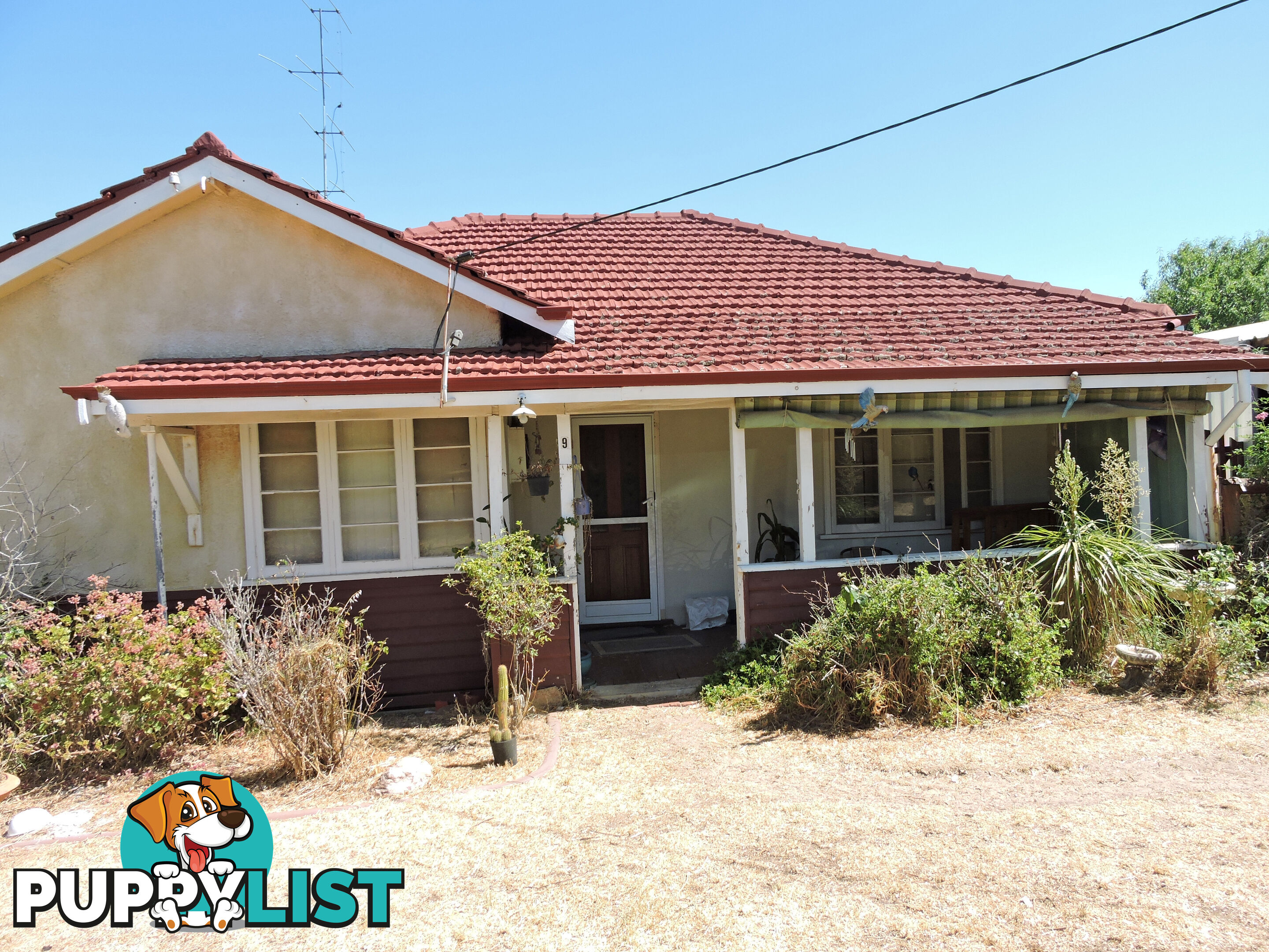 9 FRASER STREET, YORK WA 6302
