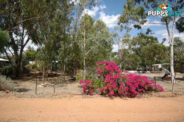 832 26 Georgiana Street YORK WA 6302