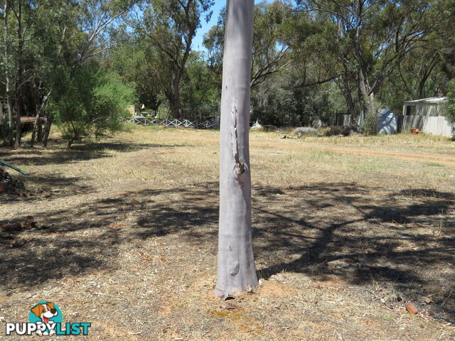 832 26 Georgiana Street YORK WA 6302