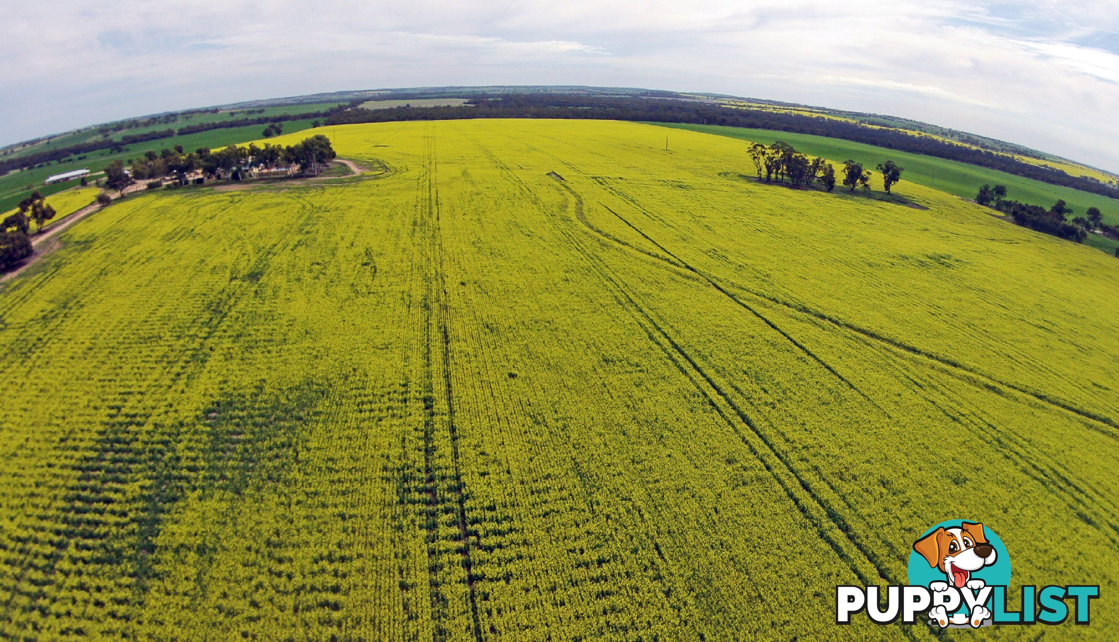 1461 QUELLINGTON ROAD YORK WA 6302