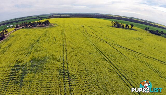 1461 QUELLINGTON ROAD YORK WA 6302