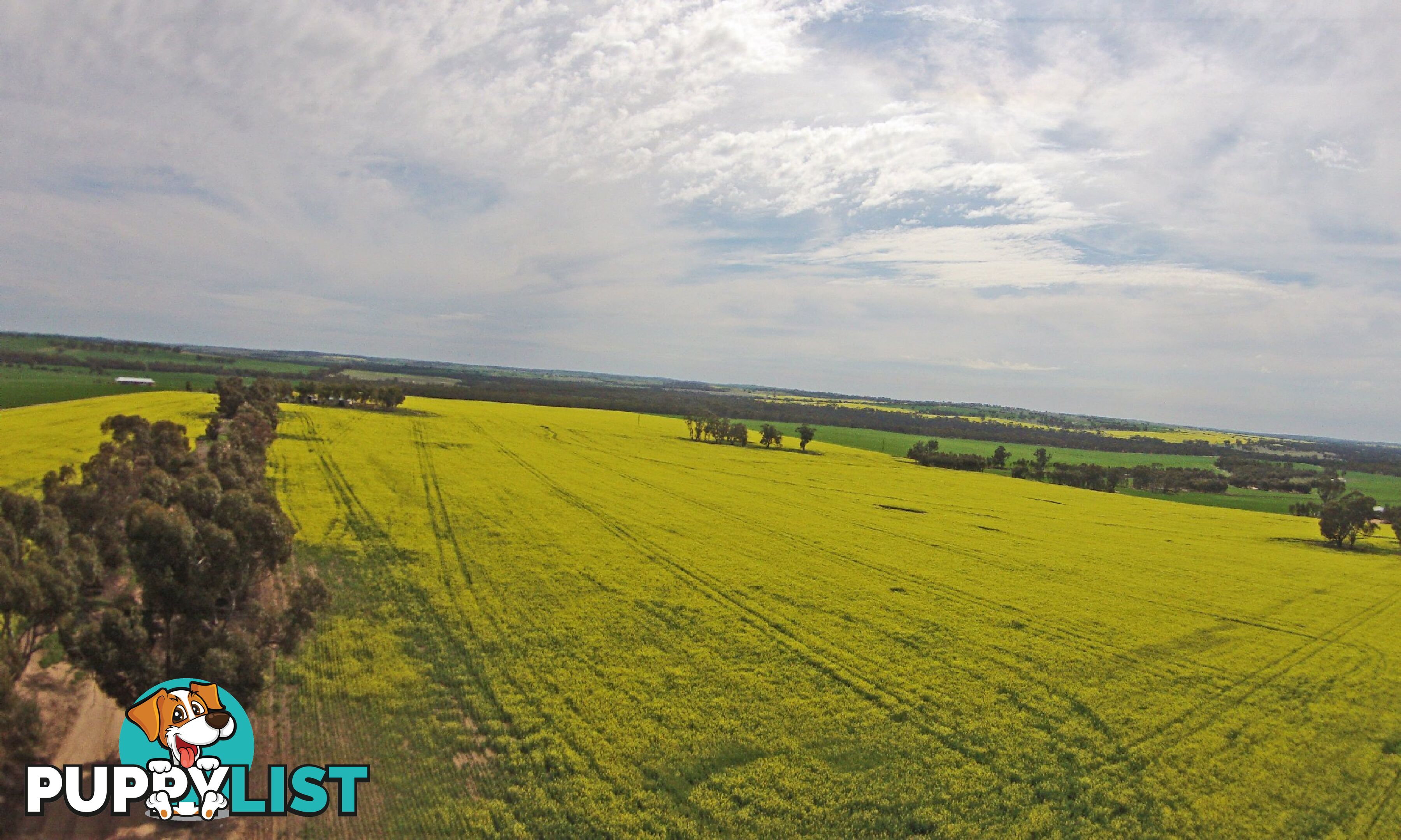 1461 QUELLINGTON ROAD YORK WA 6302