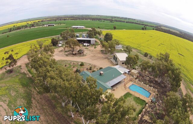 1461 QUELLINGTON ROAD YORK WA 6302