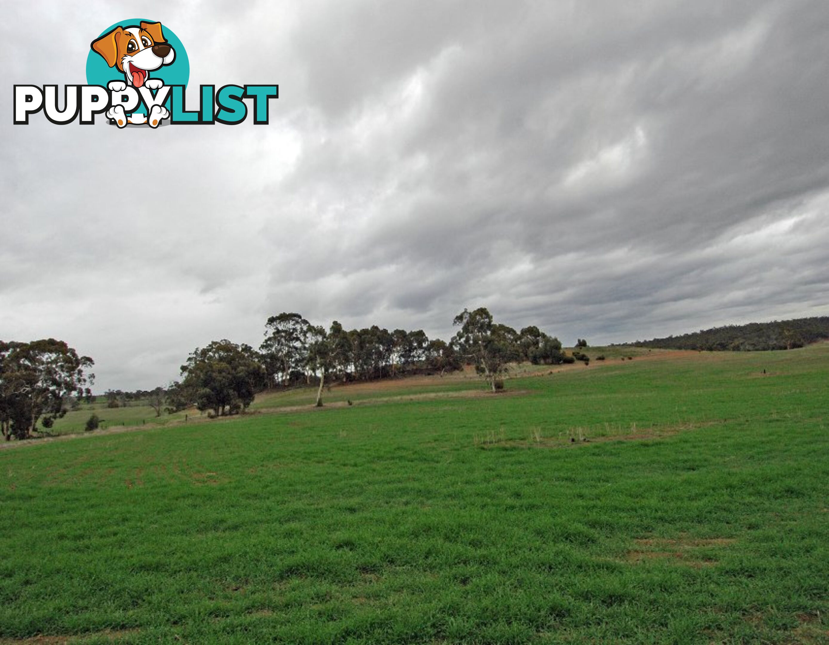 12223 Herdigan Road WANDERING WA 6308