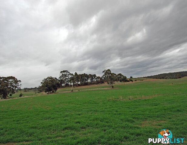 12223 Herdigan Road WANDERING WA 6308