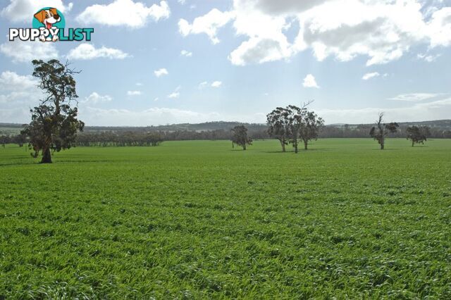 1 Kokeby West Road BEVERLEY WA 6304
