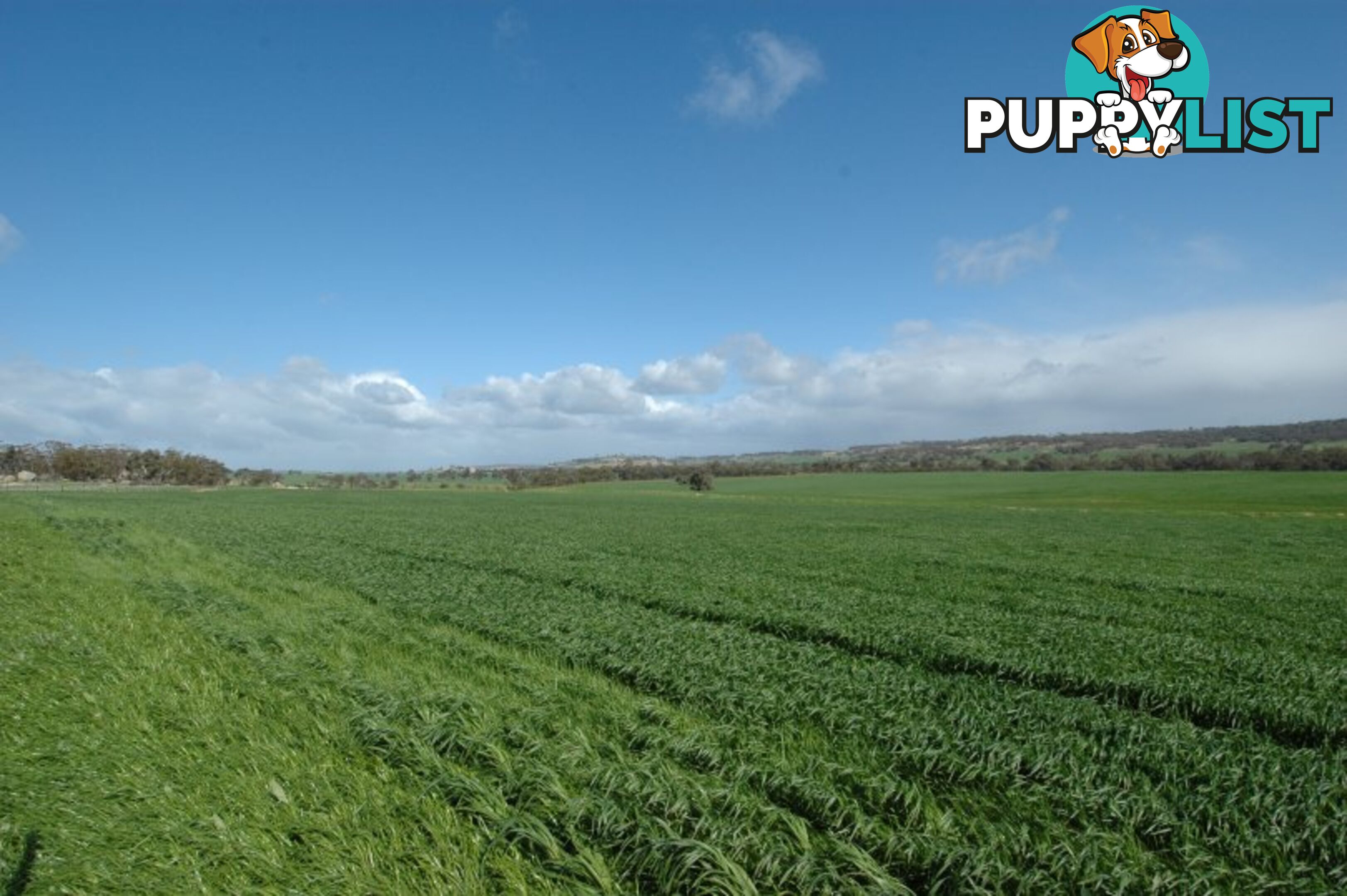 1 Kokeby West Road BEVERLEY WA 6304