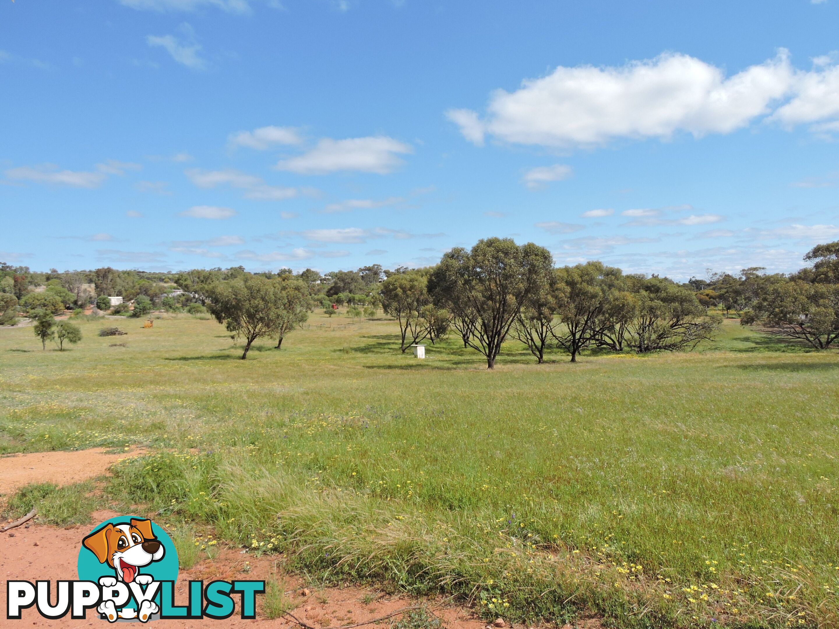 61 Attfield Rd YORK WA 6302