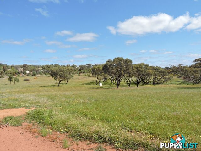 61 Attfield Rd YORK WA 6302