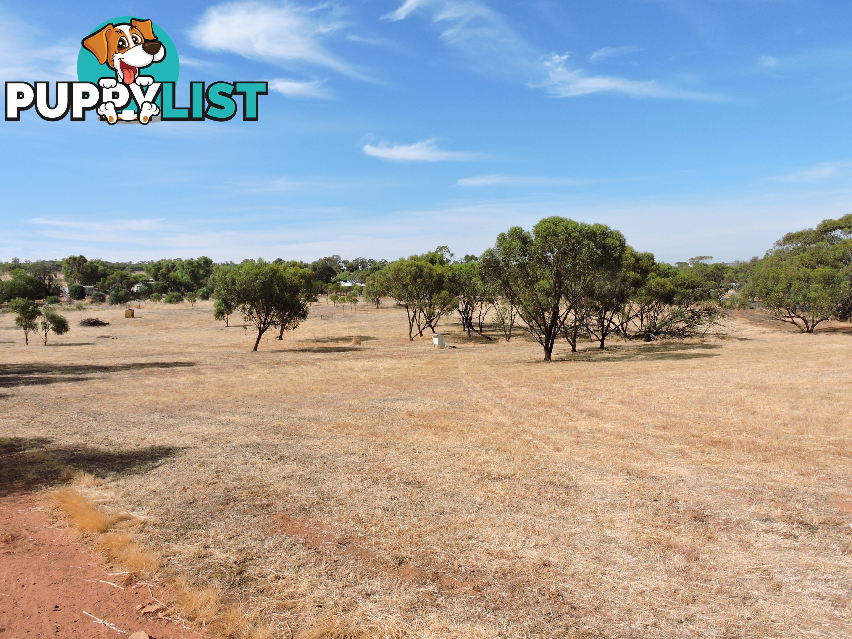 61 Attfield Rd YORK WA 6302