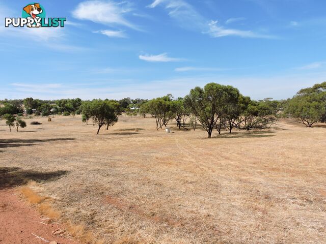 61 Attfield Rd YORK WA 6302