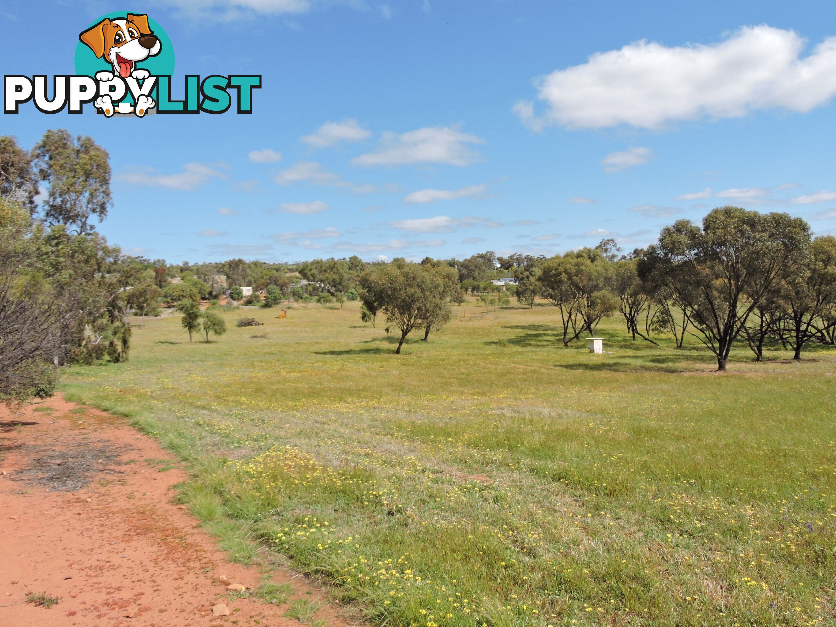 61 Attfield Rd YORK WA 6302