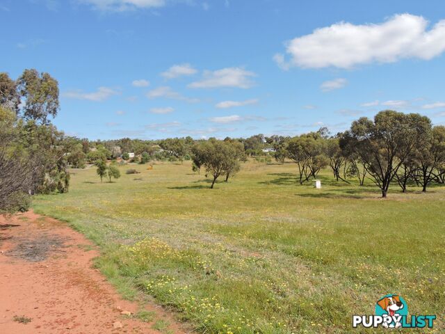 61 Attfield Rd YORK WA 6302