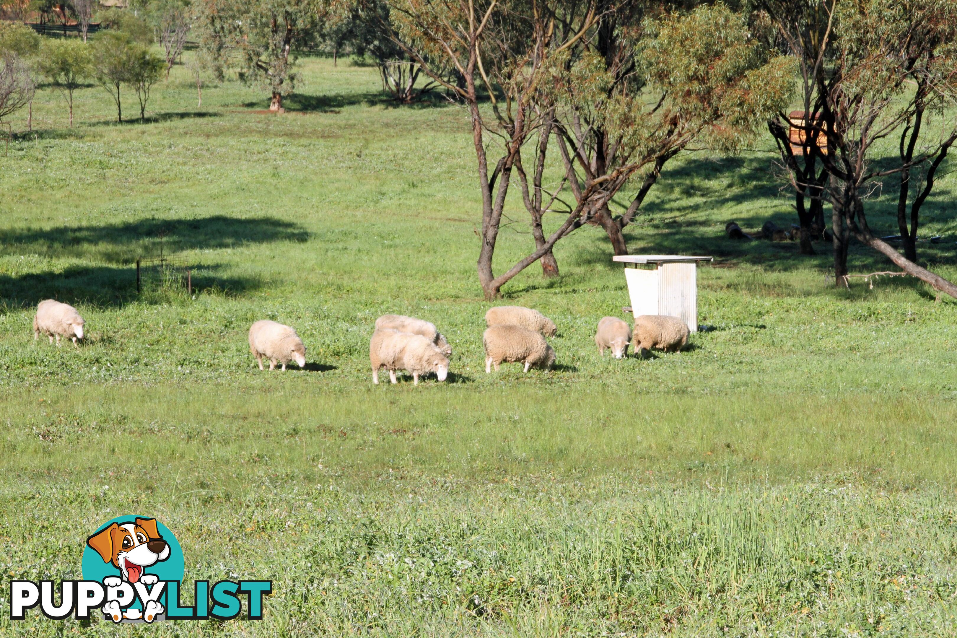 61 Attfield Rd YORK WA 6302