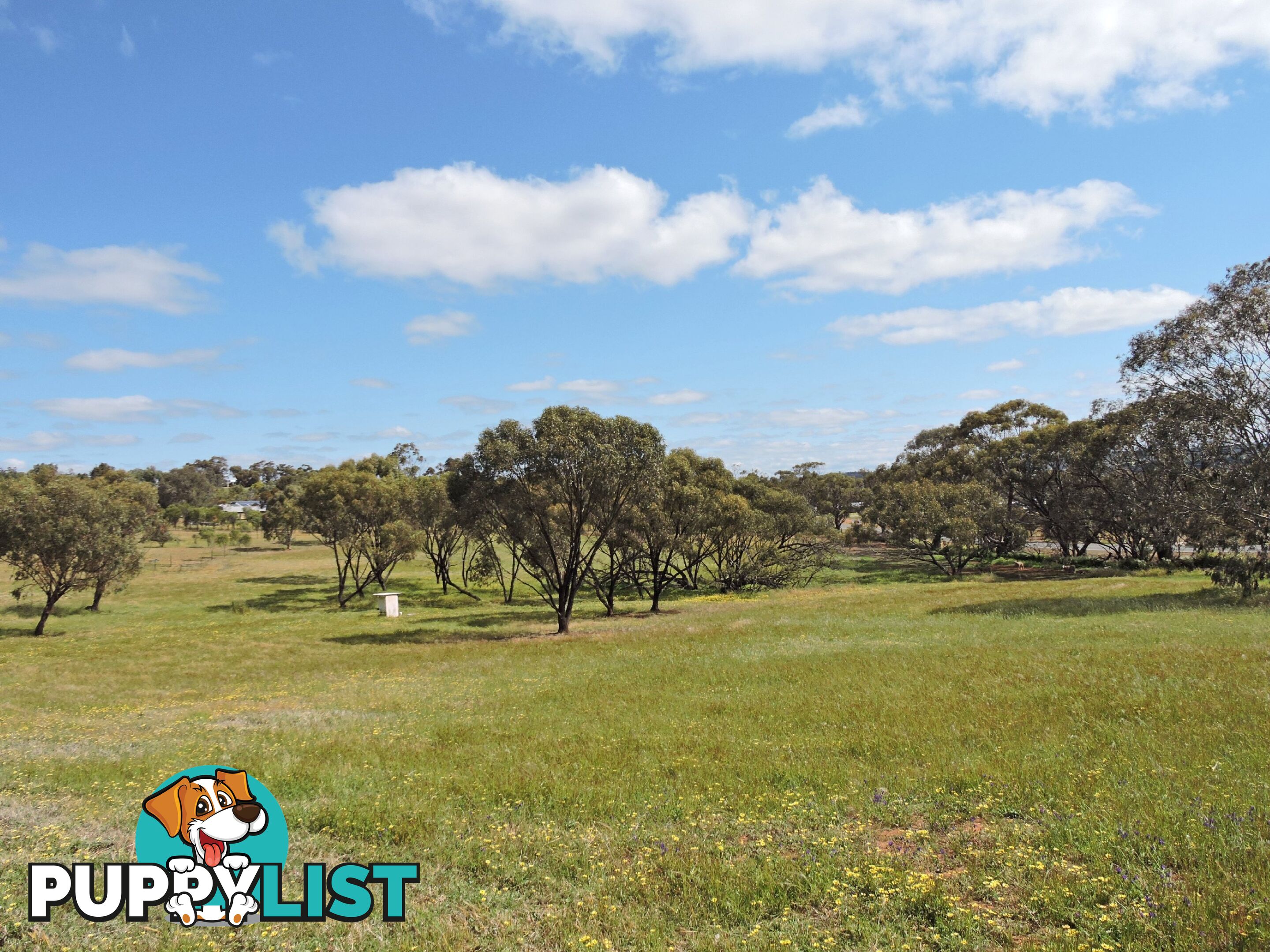 61 Attfield Rd YORK WA 6302