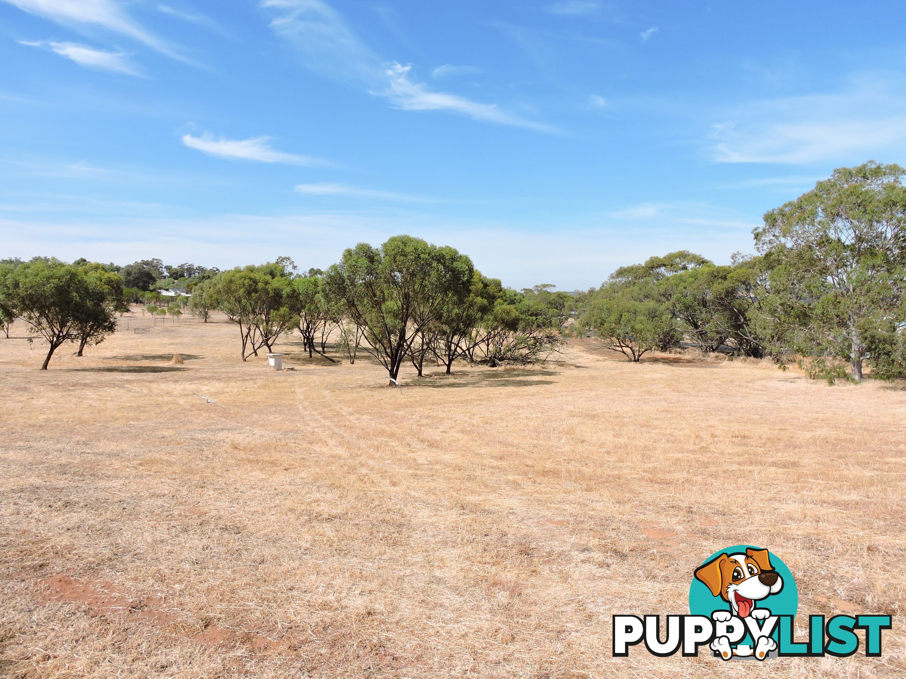61 Attfield Rd YORK WA 6302