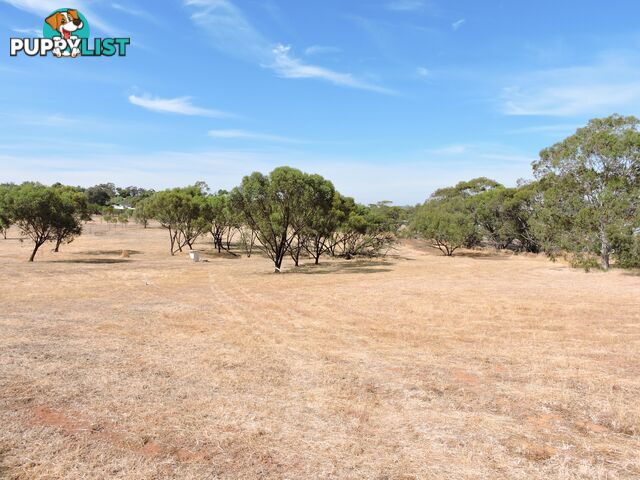 61 Attfield Rd YORK WA 6302