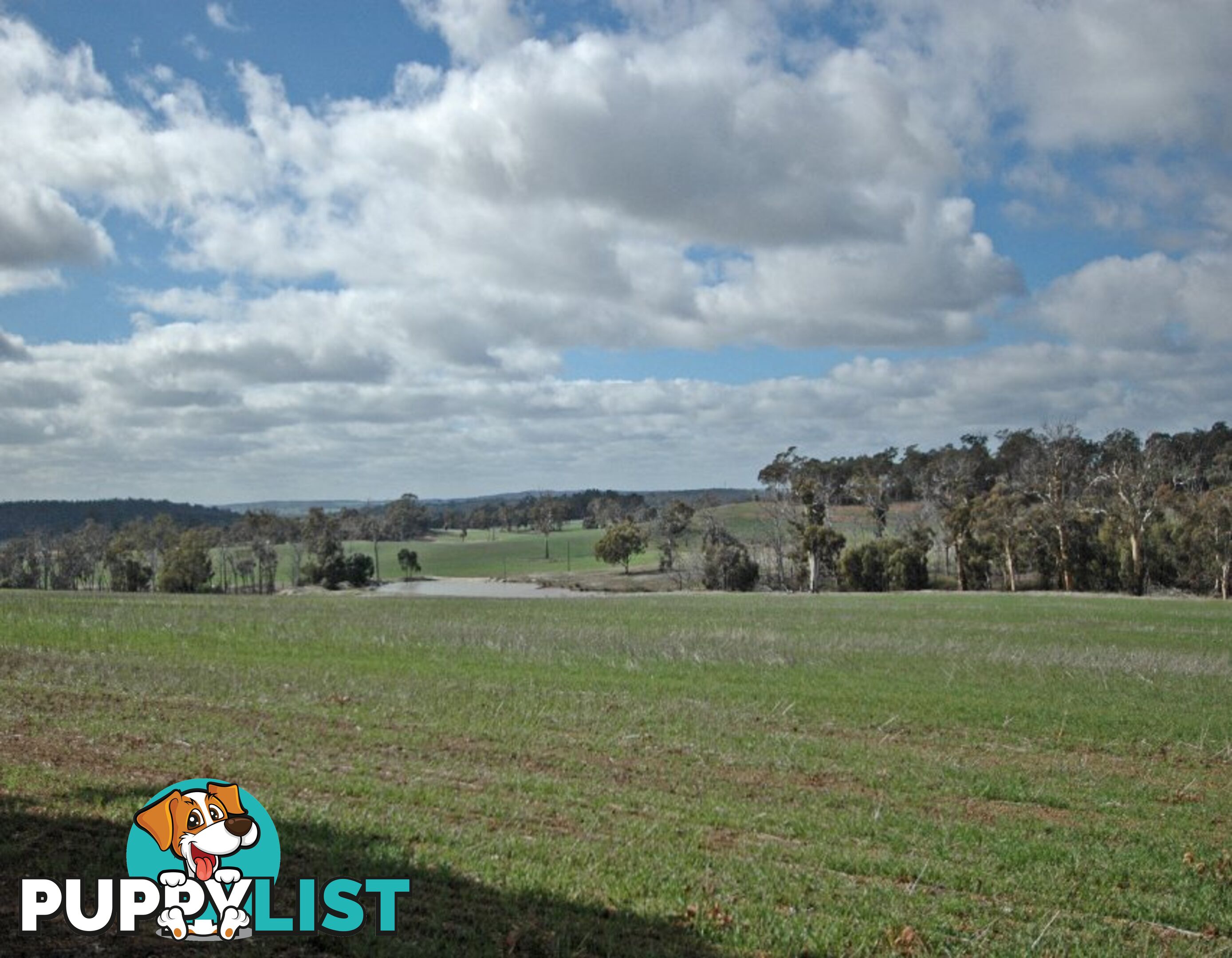 12209 Herdigan Road WANDERING WA 6308