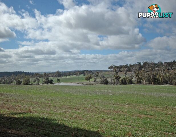 12209 Herdigan Road WANDERING WA 6308