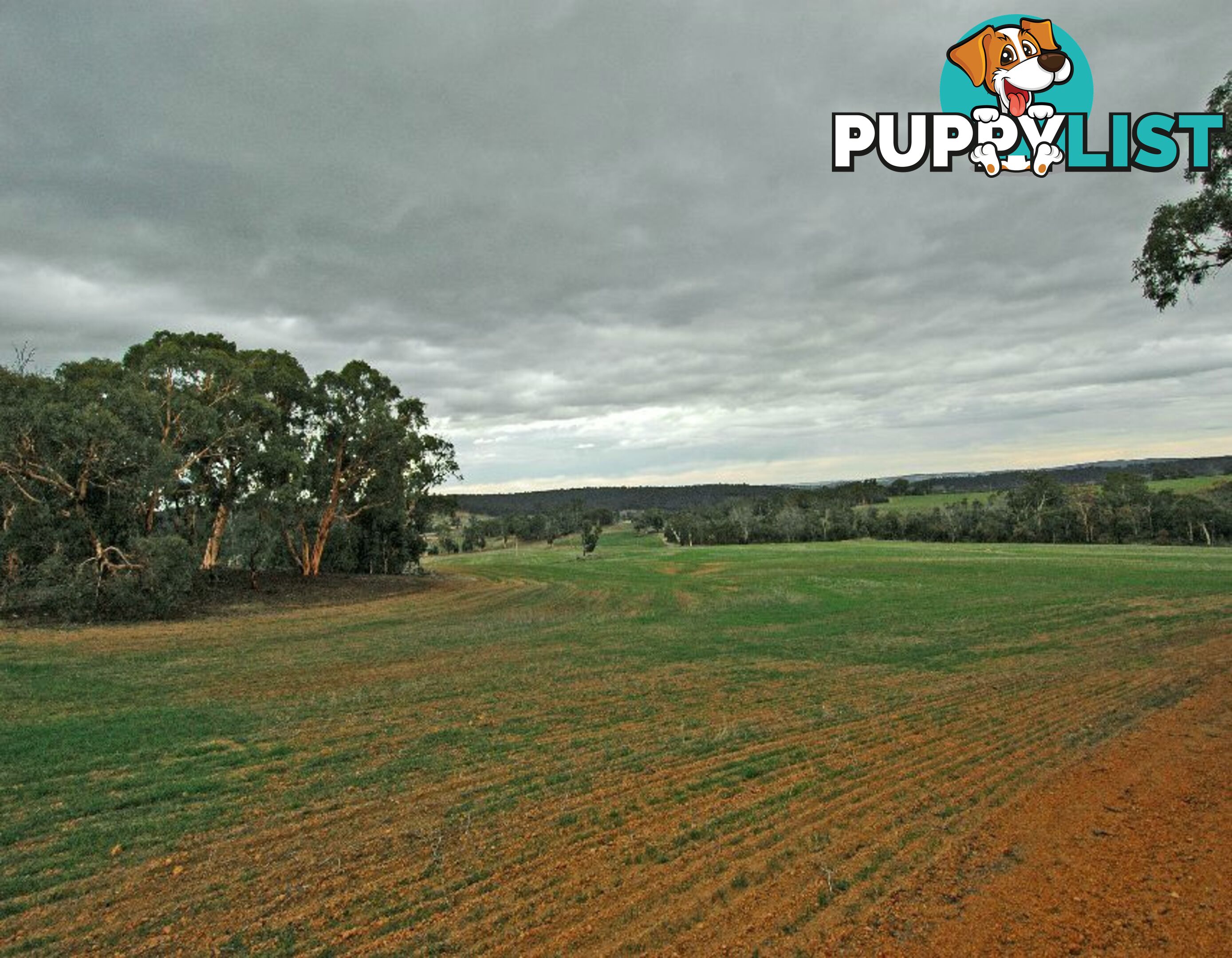 12209 Herdigan Road WANDERING WA 6308