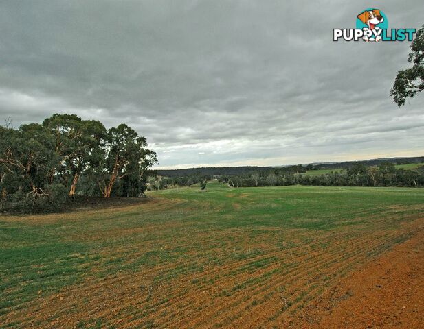 12209 Herdigan Road WANDERING WA 6308