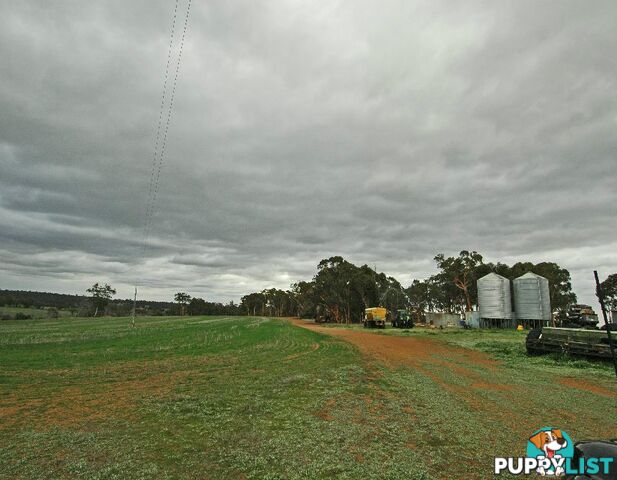 12209 Herdigan Road WANDERING WA 6308