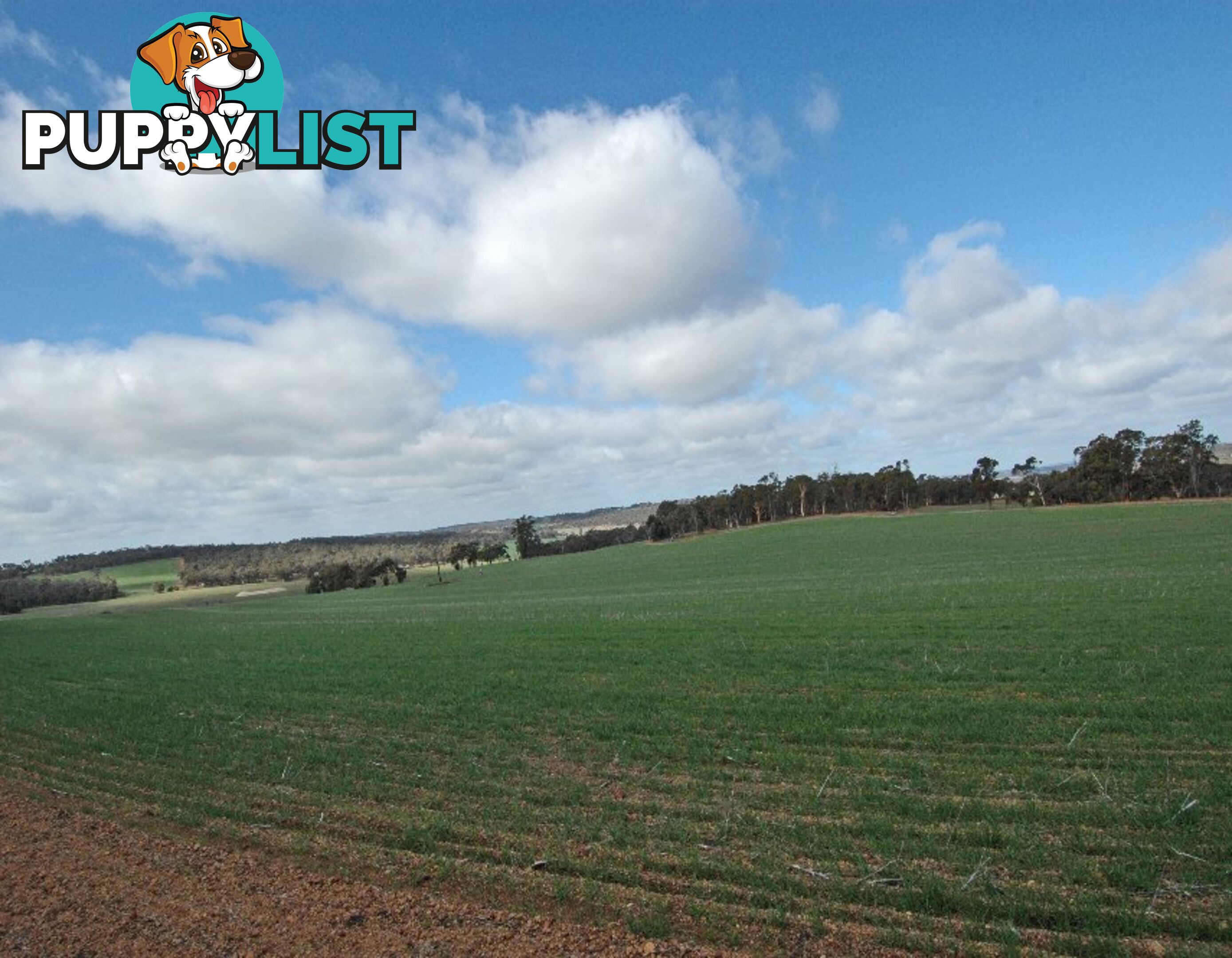 12209 Herdigan Road WANDERING WA 6308