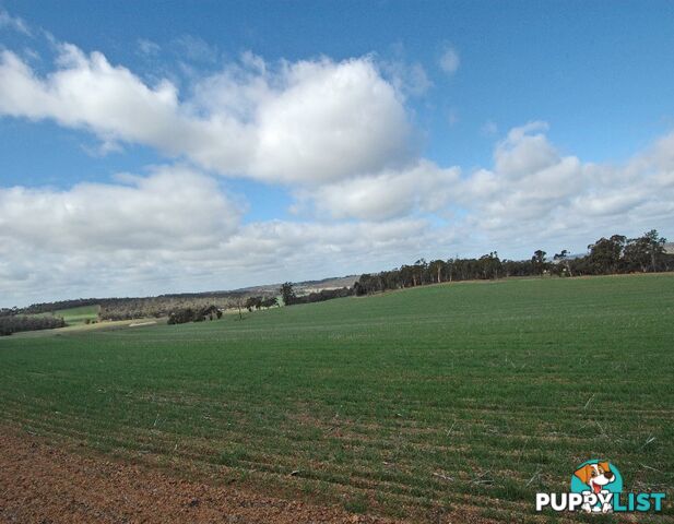12209 Herdigan Road WANDERING WA 6308